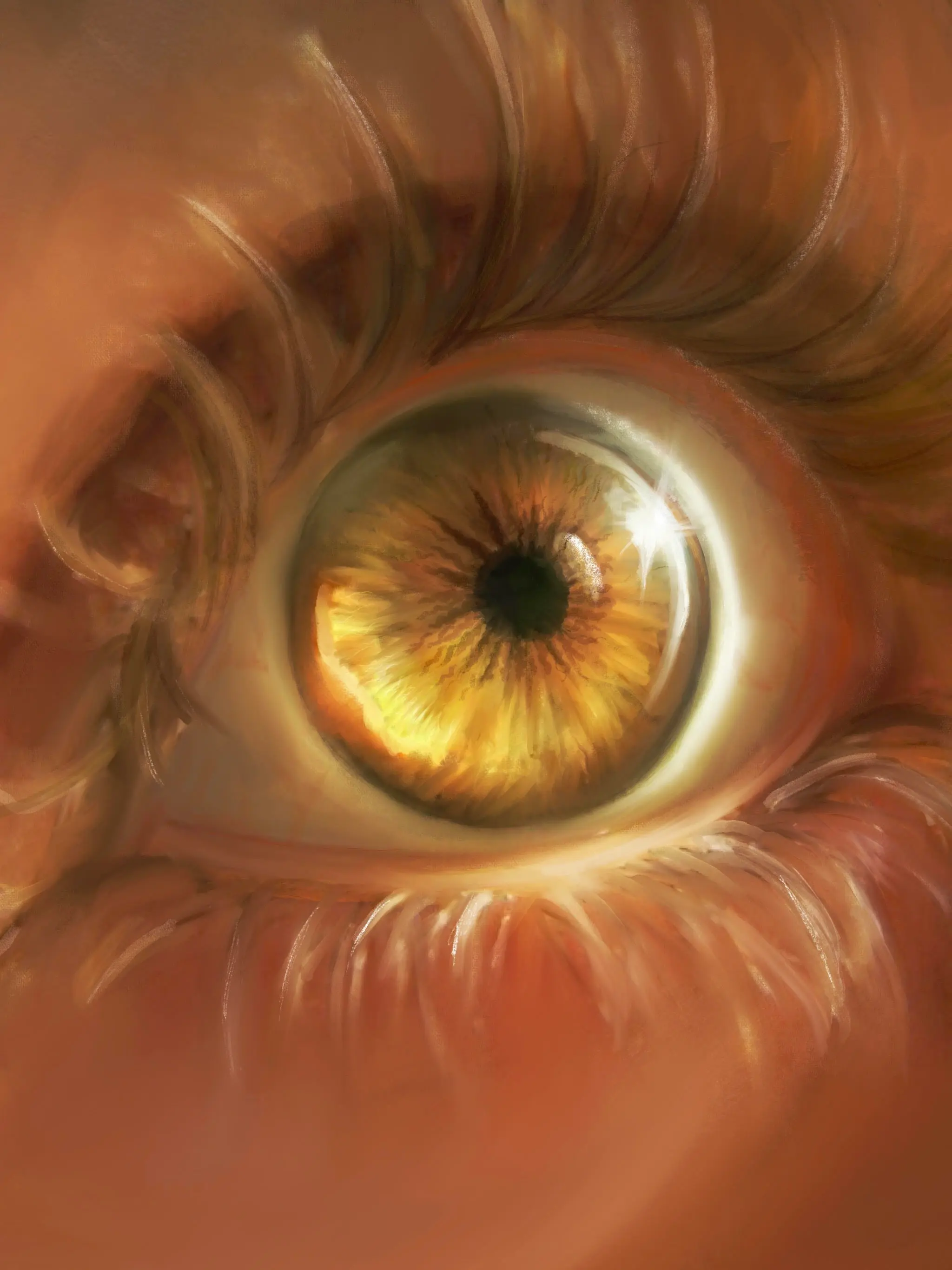 drawing of an eye